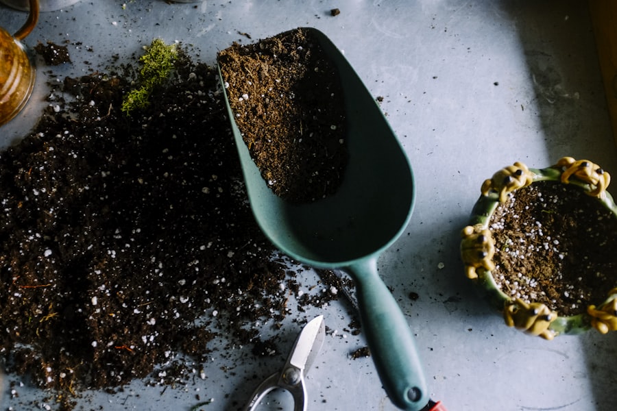 Potting mix and a clay pot